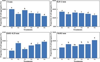 Mineral solubilizing microorganisms and their combination with plants enhance slope stability by regulating soil aggregate structure